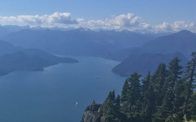 What a Budget Can Do for You