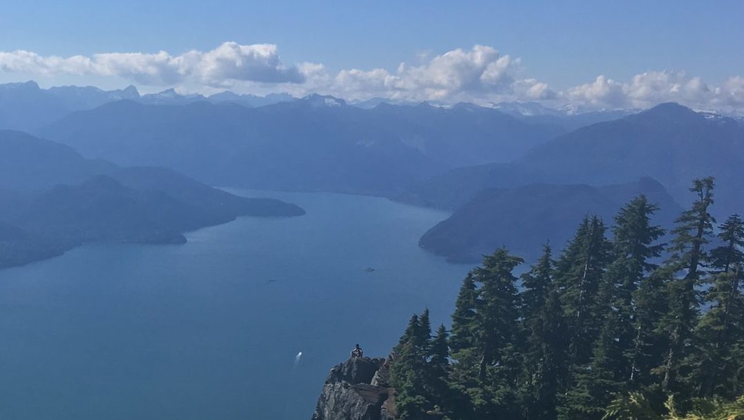 What a Budget Can Do for You