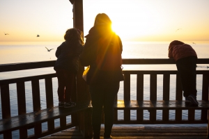 photo-1470319149473-af271634cecf